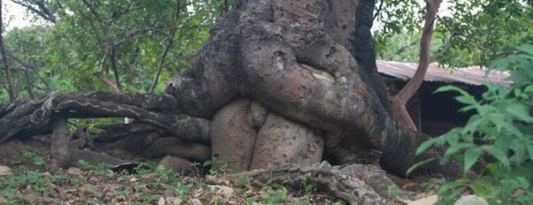 forest-asshole-fucking-funny